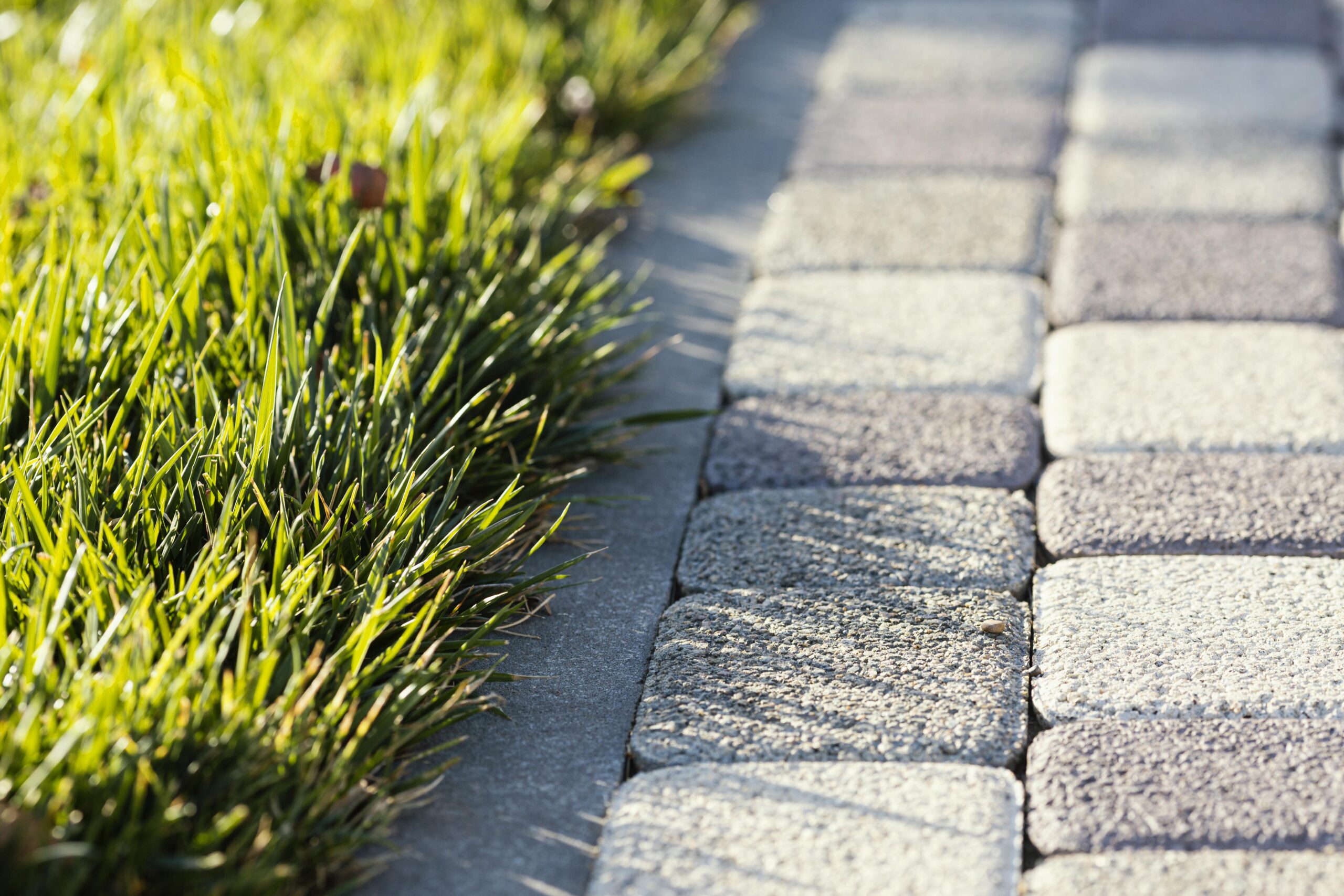 natural-grass-close-up